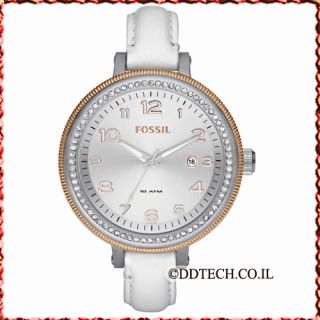watches women s watches unisex watches fossil watch am4362