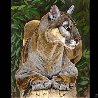  Robert Mier "Florida Panther" 16 x 20 Giclee