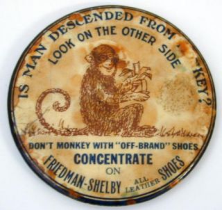 friedman shelby shoe mirror man descended frm monkey