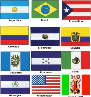 CHOOSE1 Outdoor Indoor Country Soccer 3x5 Banner Flag