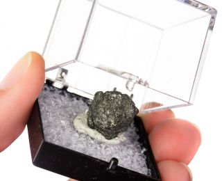 Dark Gray Native Arsenic Terminated Crystals in Ball Floater Japan
