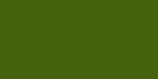 Gamal Green Semi Opaque Ceramcoat Acrylic Paint 2 Ounces 2000 2120