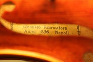 Old Violin Lab Gennaro Fabricatore 1836 Low Reserve
