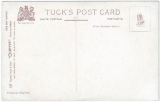 Boy Scout Tuck Postcard 1910 Oilette Mint The Owl