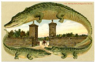 Alligator Border Florida 548 St Augustine Old City Gate
