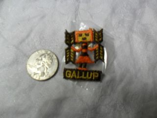 Vintage Boy Scouts Threaded Gallup Pin