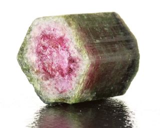 172ct Watermelon Tourmaline Termnated Red Green Crystal