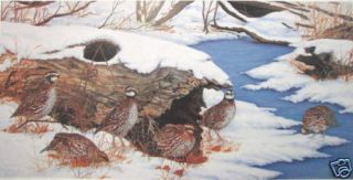 Quail I by Lee Rogers Birds Winter Snow