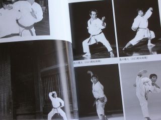 Gogen Yamaguchi Goju ryu karate book Martial arts karatedo Sanchin