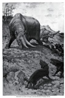 47 Old Books Fossil Mammals Sloth Mammoth Pleistocene Bears Saber