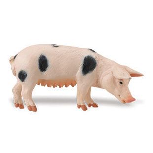 Gloucester Pig by Safari Ltd Toy Sow Pigs Spotted