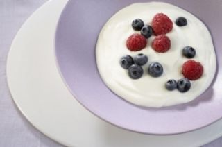 Piima Yogurt Starter Culture Organic