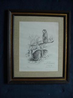 Arctic Ground Squirrel lithograph Pencil Signed Gary Lyon
