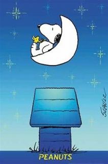 PEANUTS POSTER ~ SNOOPY MOON 27x39 Woodstock Charles Schulz Dog House