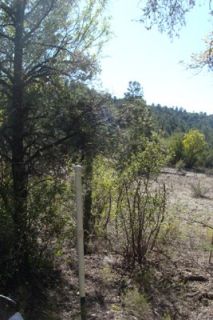 Goldwater Placer Gold Mining Project for Sale