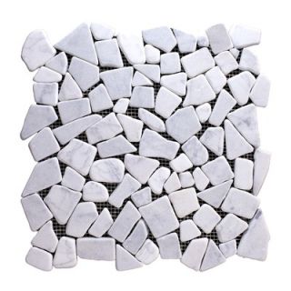 Spicewood 12 x 12 Tumbled Rubble Marble Mosaic in Bianco Carrara