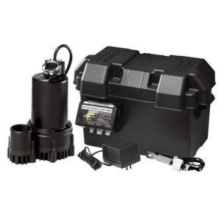 Wayne Water Systems 12V Thermoplastic Battery Back Up Sump Pump System