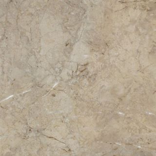 Armstrong Alterna La Plata 16 x 16 Vinyl Tile in Taupe/Gray