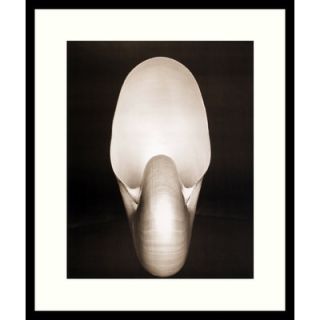  by Edward Weston, Framed Print Art   27.54 x 23.04   DSW01469