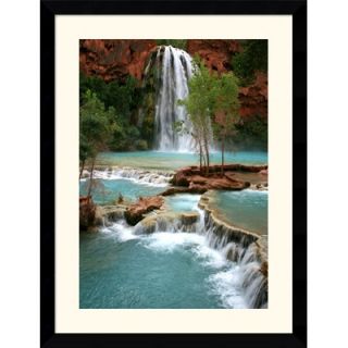  by Andy Magee Framed Fine Art Print   38.37 x 29.49   DSW139125