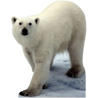 Advanced Graphics Polar Bear Cardboard Stand Up   #56