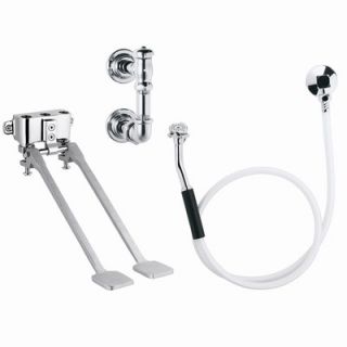  Bedpan Washer with Wall Mounted Double Pedal Mixing Valve and 69 Hose