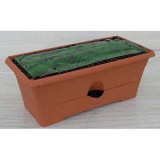 Garden Patch Grow Rectangular Box Planter   GP01GR 06/GP01TE 06
