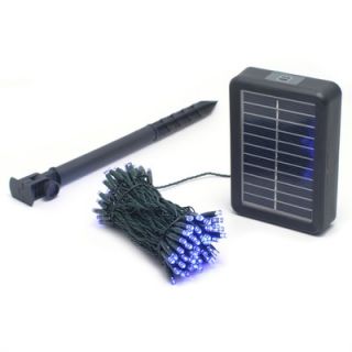 Mr. Light 100 LED Solar String Lights with Green Wire in Blue