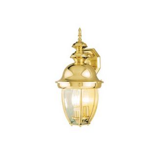Vaxcel Capital Outdoor Wall Lantern in Titanium Polished Brass