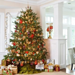 Fresh North Carolina Fraser Fir Christmas Tree 7.5 8 ft