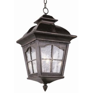 TransGlobe Lighting Outdoor Hanging Lantern in Antique Rust   5421