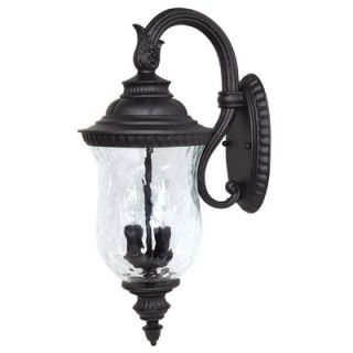 Capital Lighting Ashford Two Light Outdoor Arm Up Wall Lantern in