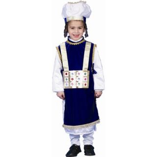 Dress Up America Jewish High Priest Childrens Costume   225 