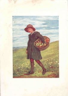 KATE GREENAWAY Original Antique Print.1905. Boy with basket of apples