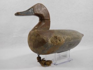 Upper Chesapeake Bay MD Havre de Grace Canvasback Hen Duck Decoy