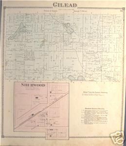  Sherwood Gilead Township Michigan Plat Map 1900