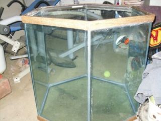 90 gallon hexagon tank fish tank aquarium rare
