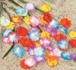 1000 Silk Hawaiian Luau Flower Petals Tropical Free s H