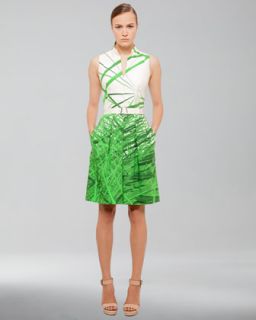 Akris Reed Print Cotton Stretch Dress, Grass   Neiman Marcus