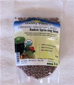  radish sprouting seeds organic radish seed radish sprouts are high in