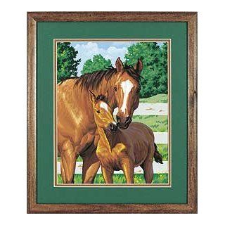  Horse w/Foal) (11x14) Med.Paint by Number Dimensions Toys & Games