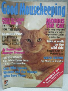 Good Mousekeeping Magazine A Paradgy by Ilene Hochberg