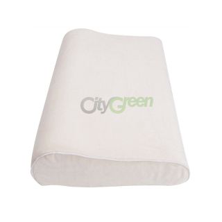  Foam Pillow with Zippered Cover Health Care Pillow High Quality