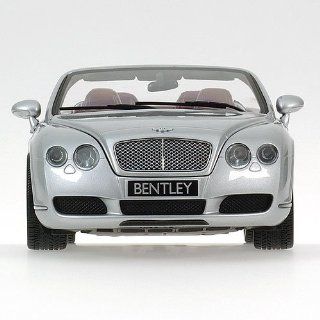  in SILVER Diecast Model Car in 1:18 Scale by Minichamps: Toys & Games