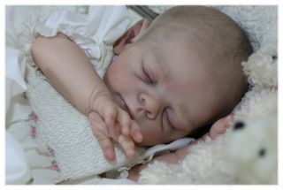 Amazing Life Like Reborn Collectors Doll Freya by Tina Kewy Now Baby