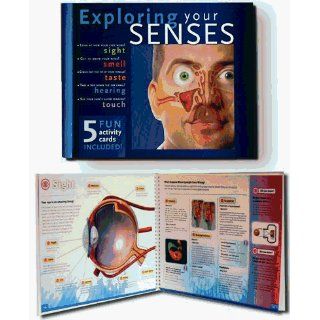 KIDZUP 102584 118 1042 Exploring Your Senses Toys & Games