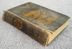 Horatio Alger Jr Luck and Pluck Series Book 1871 Illust