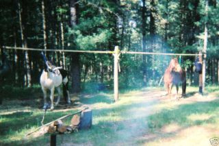 Horse Picket Line Western Tack Camping