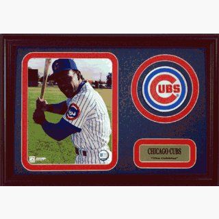 Andre Dawson 12x18 Patch