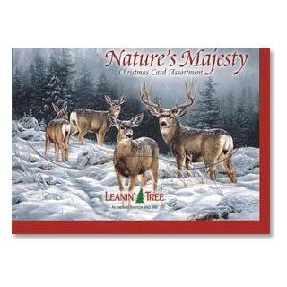 Leanin Tree Natures Majesty Christmas Cards Everything
